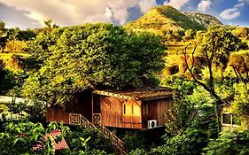 Tree House Resort Achrol